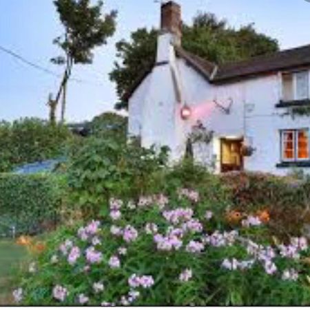 The Northmore Arms Throwleigh 外观 照片